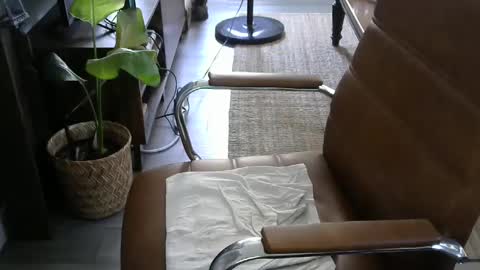 nareth338 online show from September 2025 08:42:02 PM