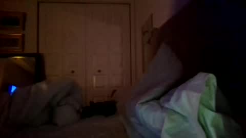 nassobout online show from December 2024 07:40:01 AM