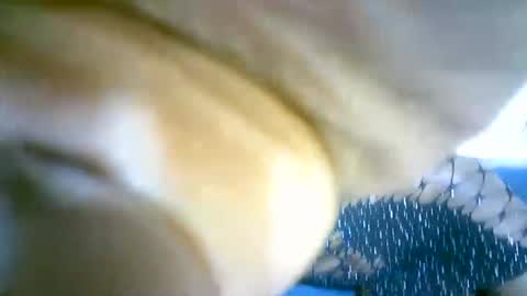 Marie online show from September 2025 04:34:02 AM