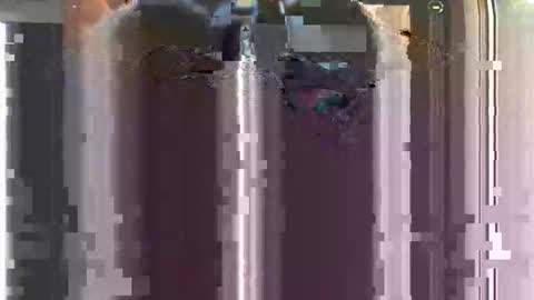 Snapshot of nastyyyyydoo chatting on December 2025 08:41:02 AM nastyyyyydoo online show from December 2025 08:41:02 AM