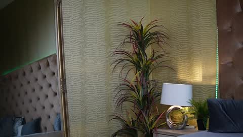 Snapshot of nataliareina chatting on January 2025 06:53:02 PM Natalia online show from January 2025 06:53:02 PM