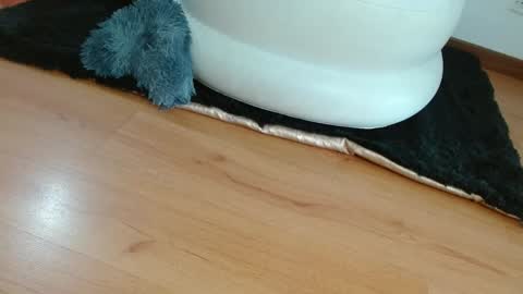 nath_dawson online show from January 2025 12:11:02 PM