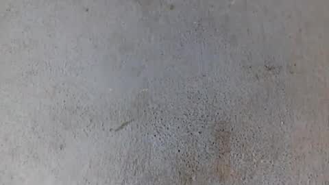 Nathy online show from February 2025 08:18:02 AM