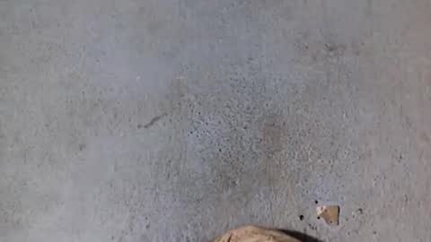 Nathy online show from February 2025 08:06:01 AM