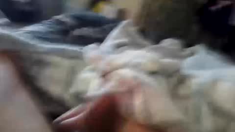 naughtyfelons6969 online show from October 2025 09:07:02 AM