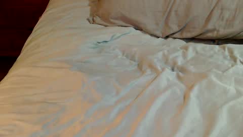 Snapshot of naughtyfucker4u269 chatting on December 2024 03:10:01 PM INDY online show from December 2024 03:10:01 PM