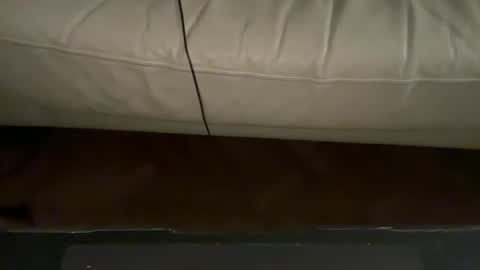 Snapshot of navigatingtothesky chatting on November 2025 11:48:01 PM navigatingtothesky online show from November 2025 11:48:01 PM