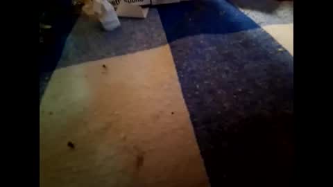 Snapshot of nembo1974 chatting on November 2025 10:23:02 PM boo online show from November 2025 10:23:02 PM