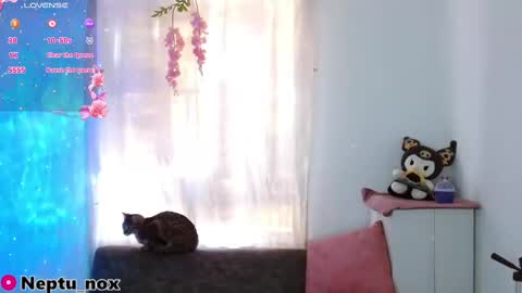 Snapshot of neptu_noxx chatting on January 2025 09:48:02 PM Neptu noxx online show from January 2025 09:48:02 PM