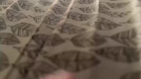 Snapshot of newby101 chatting on October 2025 08:57:02 AM Meow Meow online show from October 2025 08:57:02 AM