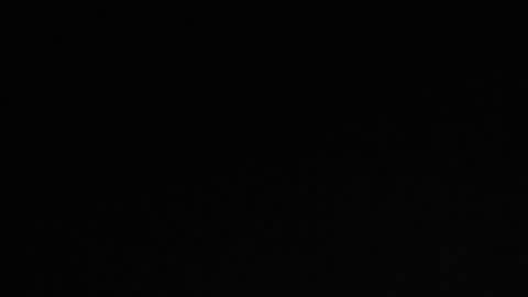 Robin online show from February 2025 10:36:02 AM