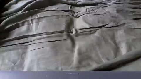 Nick online show from March 2025 11:03:01 AM