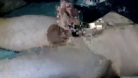 Nick online show from October 2025 11:20:02 AM