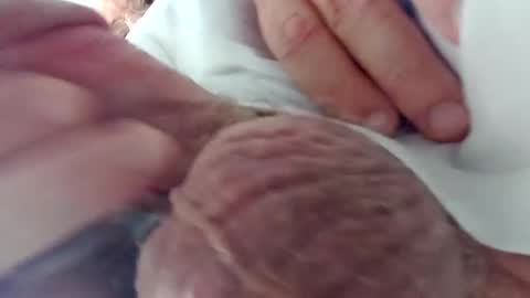 Snapshot of nickthefiddler chatting on December 2024 03:05:02 AM TheCock online show from December 2024 03:05:02 AM