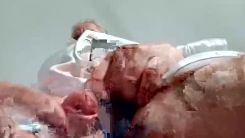 Snapshot of nickthefiddler chatting on December 2024 08:58:02 AM TheCock online show from December 2024 08:58:02 AM