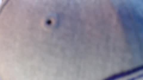 nicolas online show from December 2024 07:19:02 AM