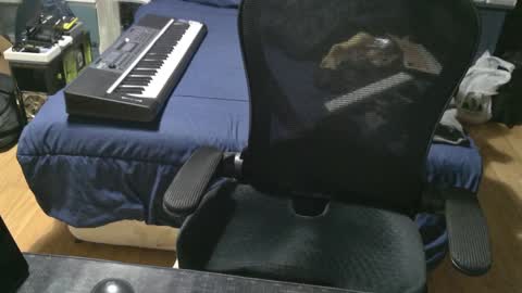 Julian online show from January 2025 01:36:02 PM
