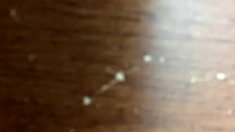 Snapshot of nightmoves1970 chatting on October 2025 02:45:02 AM nightmoves1970 online show from October 2025 02:45:02 AM