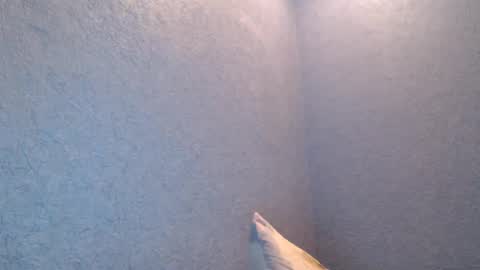 Snapshot of nikayshadow chatting on February 2025 04:47:01 PM NikayShadow online show from February 2025 04:47:01 PM