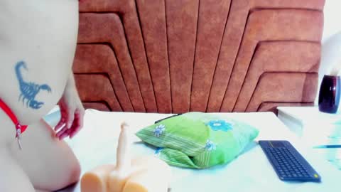 niki online show from January 2025 08:07:01 PM