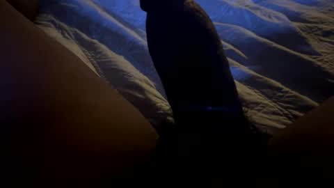 ninerj9 online show from February 2025 12:43:02 AM