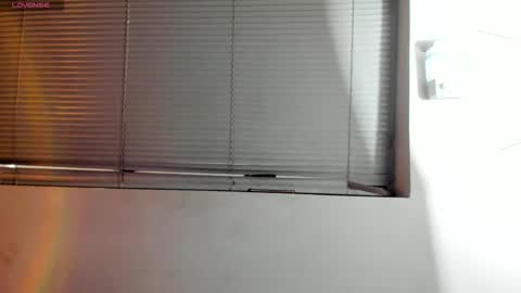 Snapshot of noah_dupont_ chatting on November 2025 11:33:01 AM noah_dupont_ online show from November 2025 11:33:01 AM