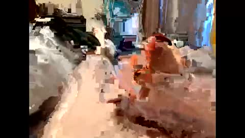 Snapshot of nolplus chatting on March 2025 05:40:01 AM nolplus online show from March 2025 05:40:01 AM