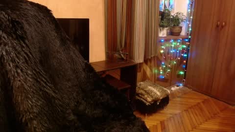 miss Tress online show from December 2024 09:19:01 PM