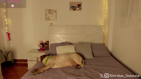 Snapshot of norma_jeaane chatting on October 2025 08:29:01 PM Norma Jeaane online show from October 2025 08:29:01 PM