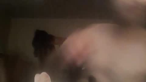 novasocia online show from September 2025 04:26:01 AM