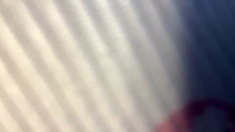 Nicol online show from September 2025 07:34:02 AM