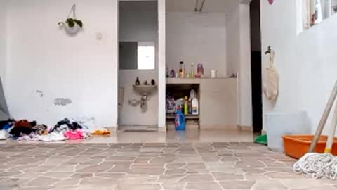 Val online show from October 2025 08:52:01 PM