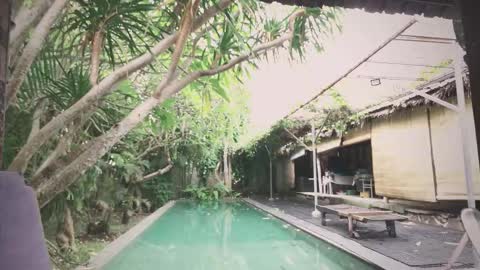 Snapshot of ohmymojo chatting on November 2025 01:55:01 AM Mo online show from November 2025 01:55:01 AM