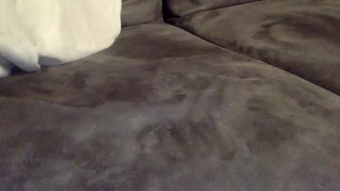 Snapshot of oktobus74 chatting on October 2025 05:58:02 PM oktobus74 online show from October 2025 05:58:02 PM