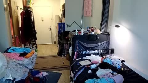 Snapshot of opalockajoe chatting on February 2025 08:27:02 PM TsJojo online show from February 2025 08:27:02 PM