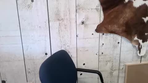 Snapshot of openmindedcowboy chatting on November 2025 03:25:01 PM kinkynerd online show from November 2025 03:25:01 PM