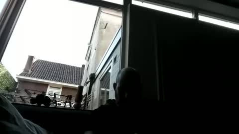 Openminded online show from December 2024 09:38:02 AM