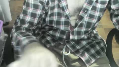 Ore online show from January 2025 12:46:02 AM