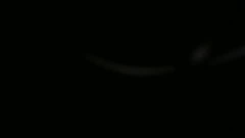 Ossi online show from November 2025 10:01:01 PM