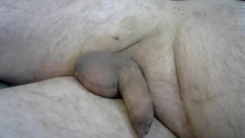 Snapshot of ovid77 chatting on October 2025 10:05:01 AM ovid77 online show from October 2025 10:05:01 AM