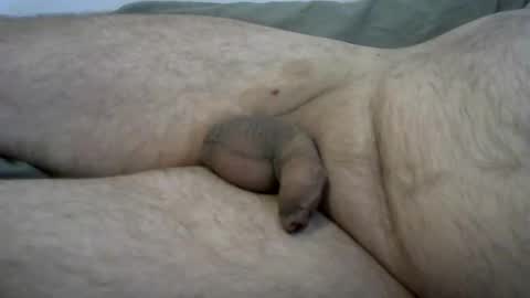 Snapshot of ovid77 chatting on October 2025 07:08:01 AM ovid77 online show from October 2025 07:08:01 AM