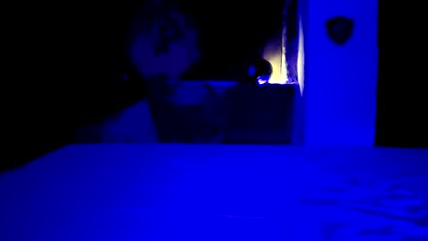 pablouyu online show from December 2024 03:09:02 AM
