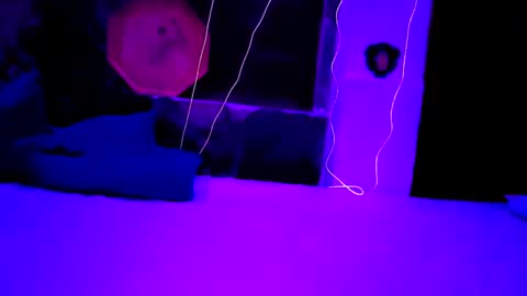 pablouyu online show from December 2024 05:56:01 AM