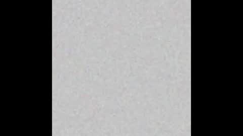 Snapshot of pack2 chatting on October 2025 09:26:02 AM pack2 online show from October 2025 09:26:02 AM