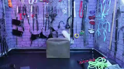 PandoraNez online show from February 2025 11:10:02 AM