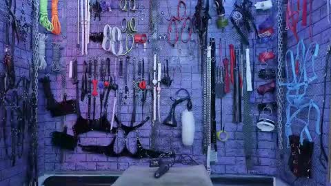 PandoraNez online show from October 2025 02:59:01 PM