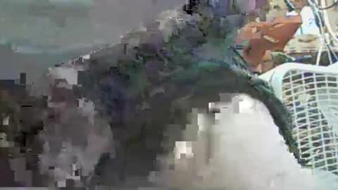 papajb70 online show from September 2025 02:27:02 AM