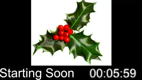 Passion4Fashion online show from December 2024 09:00:02 PM