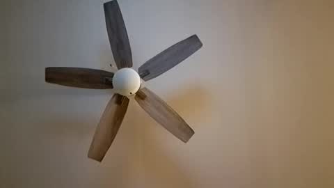 patrick247288 online show from November 2025 06:13:02 AM