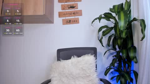 Snapshot of paulaa_333 chatting on January 2025 05:09:02 PM paula online show from January 2025 05:09:02 PM